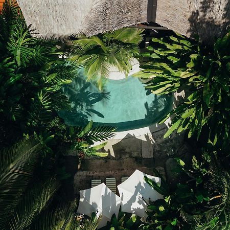 Conga Boutique Hotel Puerto Viejo de Talamanca Kültér fotó