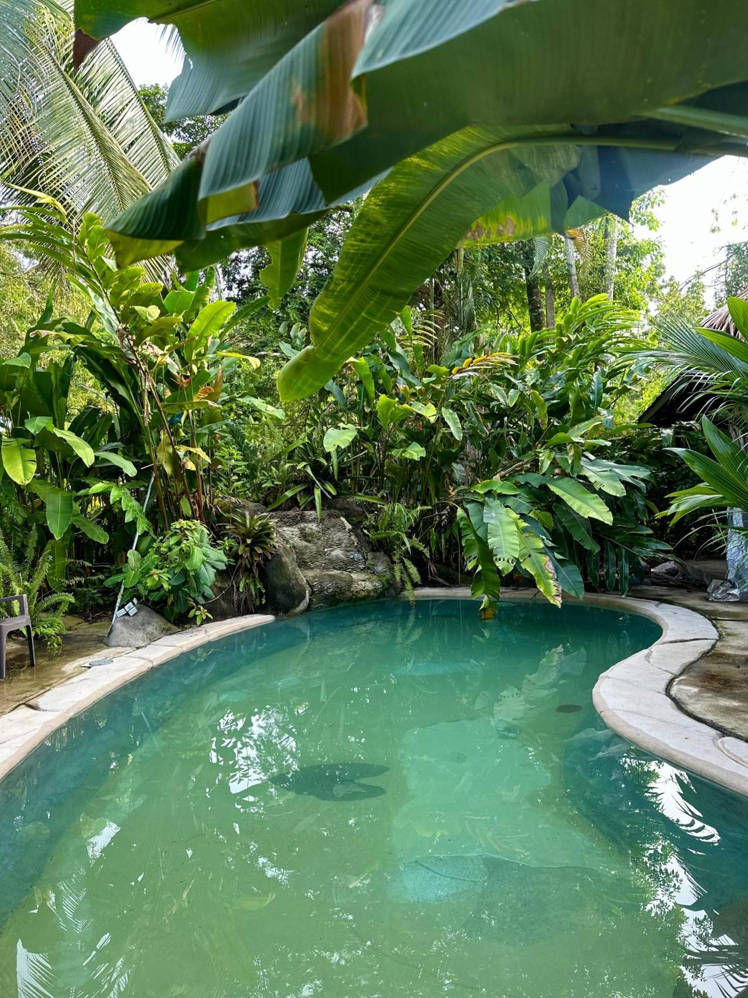 Conga Boutique Hotel Puerto Viejo de Talamanca Kültér fotó