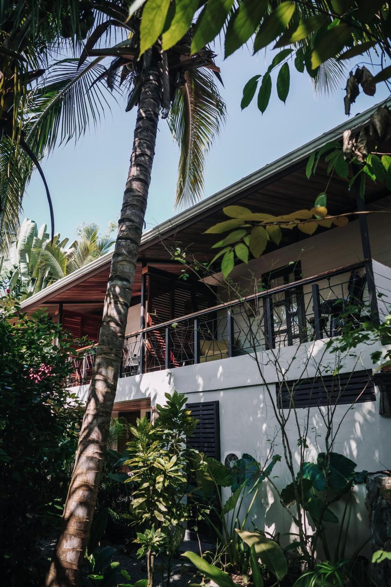 Conga Boutique Hotel Puerto Viejo de Talamanca Kültér fotó