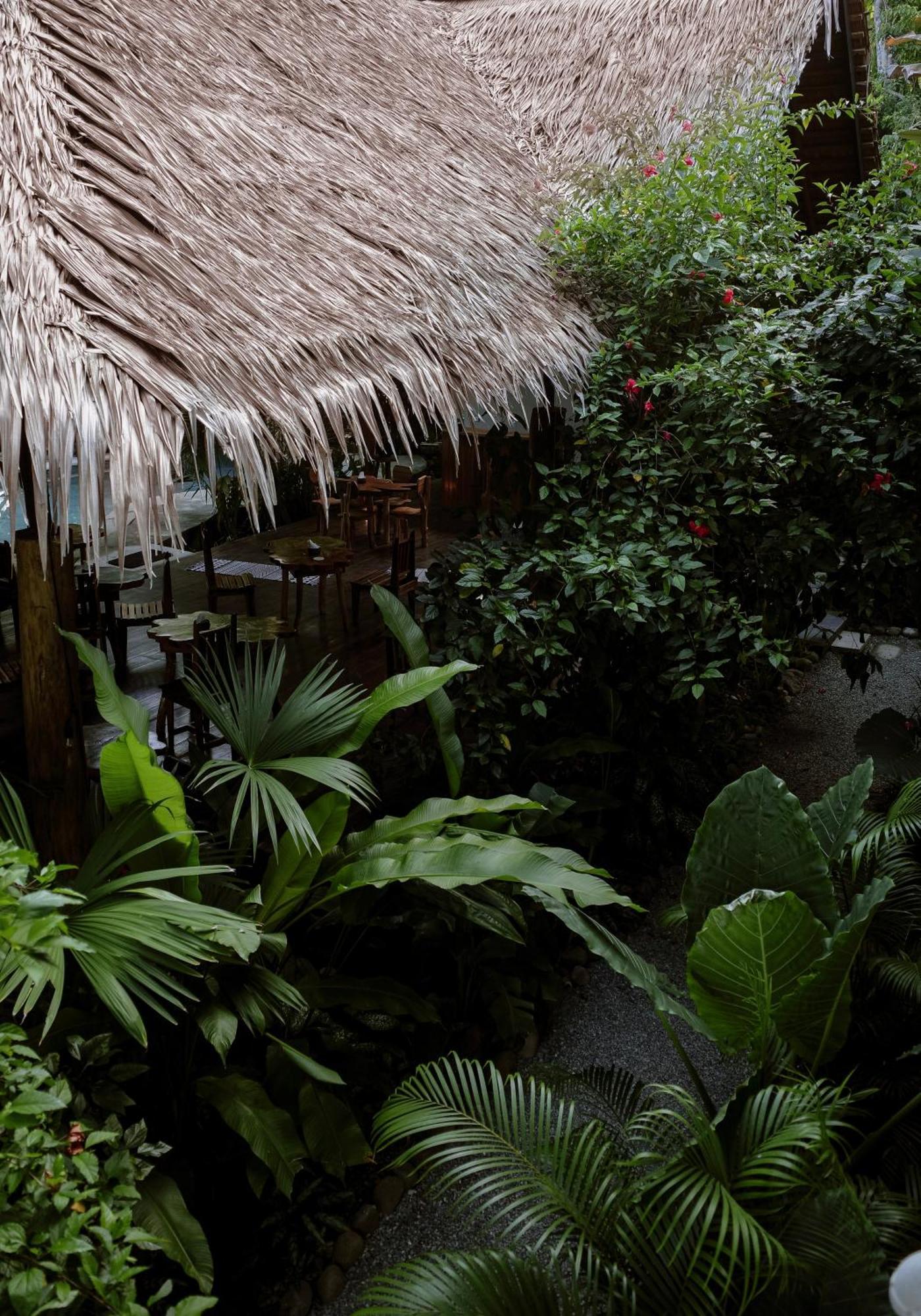 Conga Boutique Hotel Puerto Viejo de Talamanca Kültér fotó