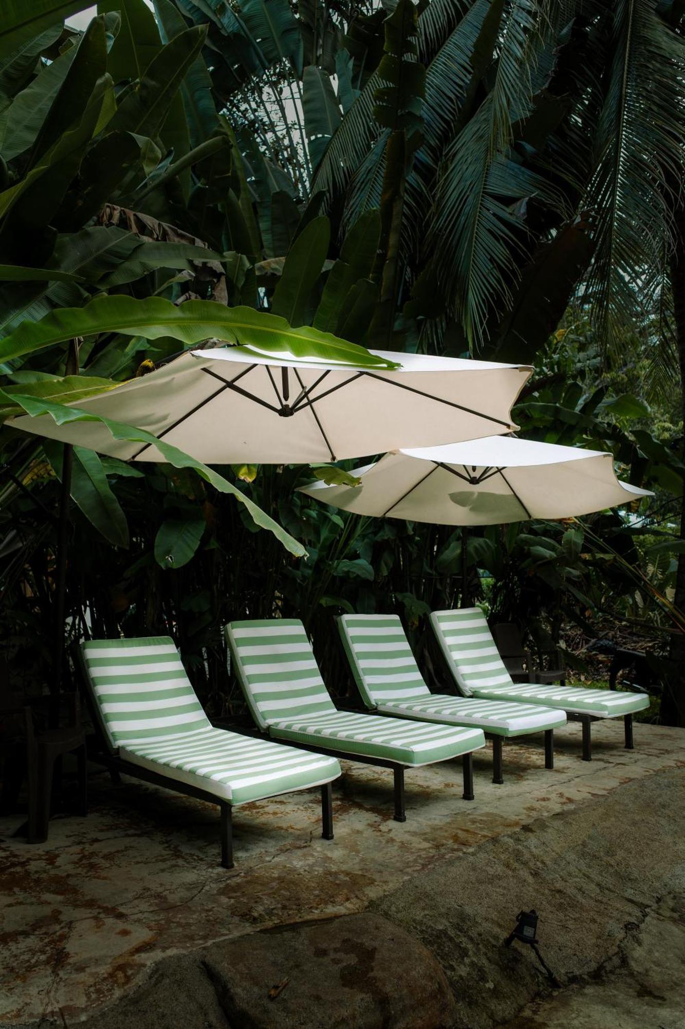 Conga Boutique Hotel Puerto Viejo de Talamanca Kültér fotó