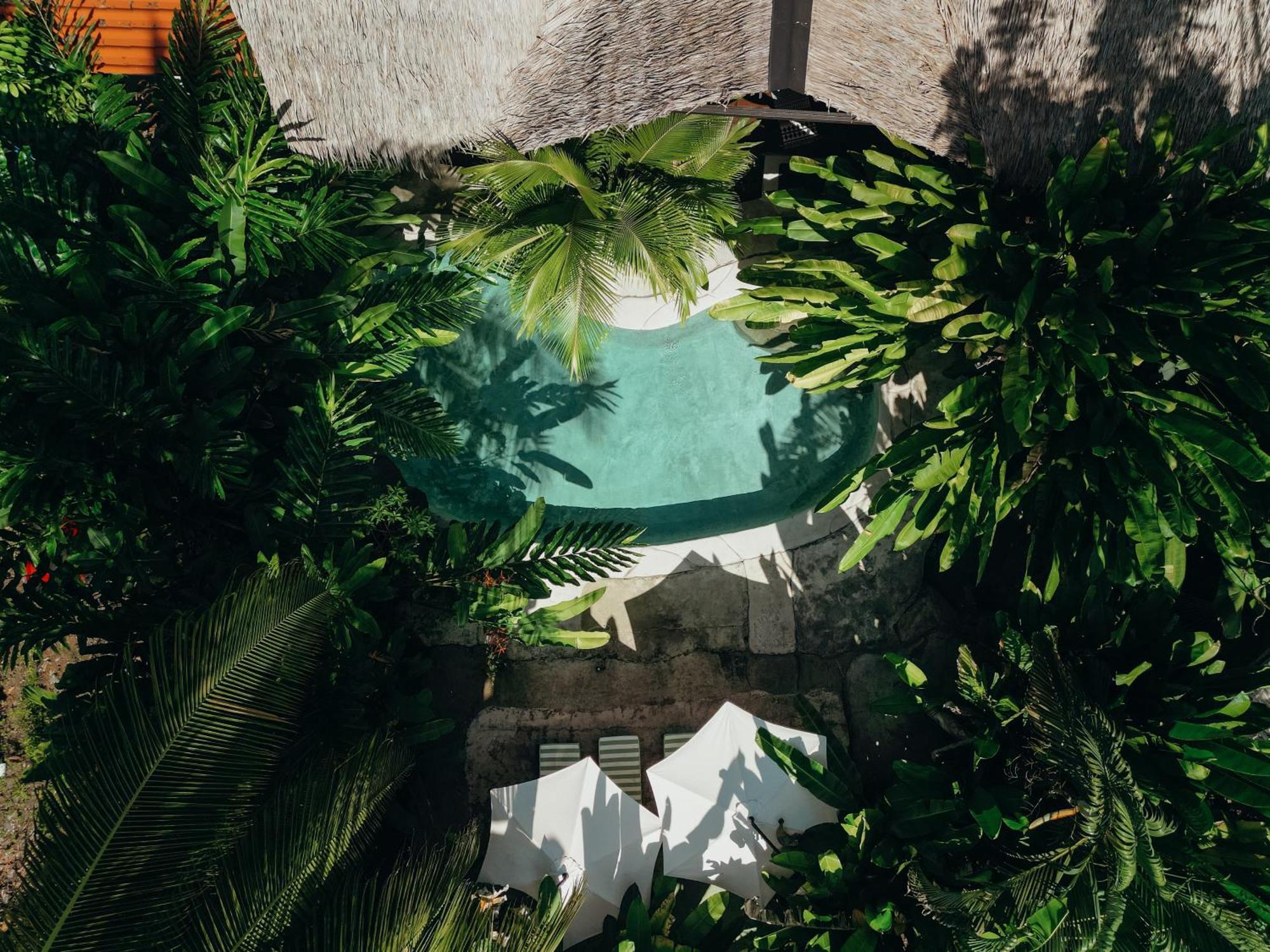 Conga Boutique Hotel Puerto Viejo de Talamanca Kültér fotó